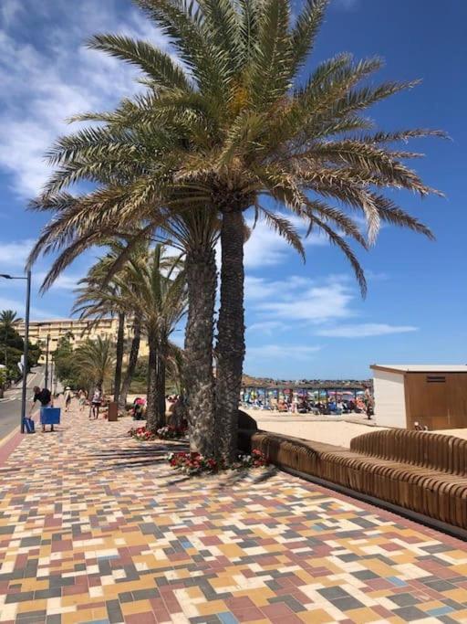 Casa Andres. Two Bed Penthouse Pool & Terrace Apartment Alicante Exterior foto